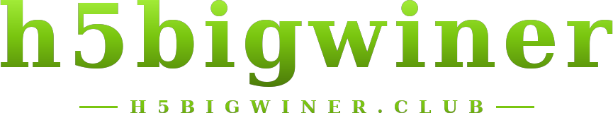 h5bigwiner logo